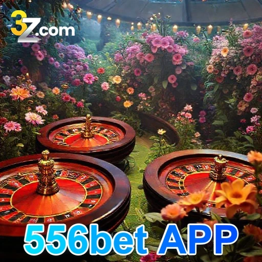 556bet APP Esporte